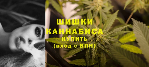 PSILOCYBIN Заволжск