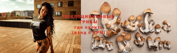 каннабис Заводоуковск