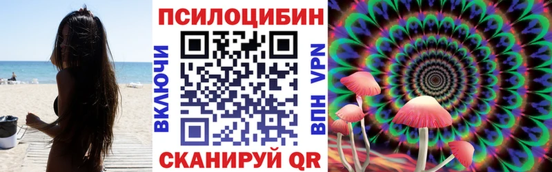 Галлюциногенные грибы Cubensis  где купить наркоту  Абакан 