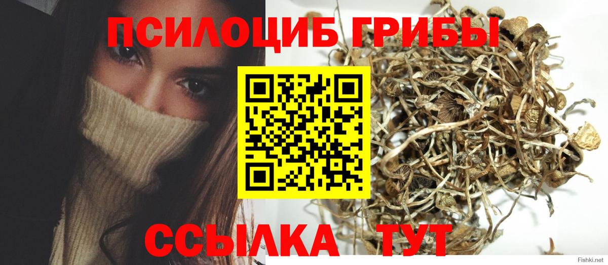Псилоцибиновые грибы Psilocybine cubensis  Галлюциногенные грибы Psilocybine cubensis  Абакан  Вход с VPN 