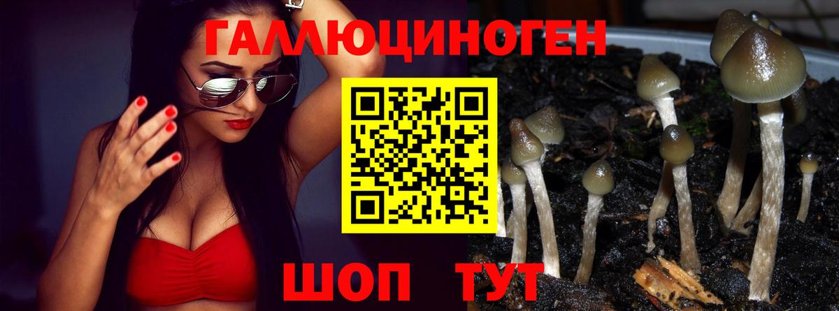 Псилоцибиновые грибы мицелий Абакан