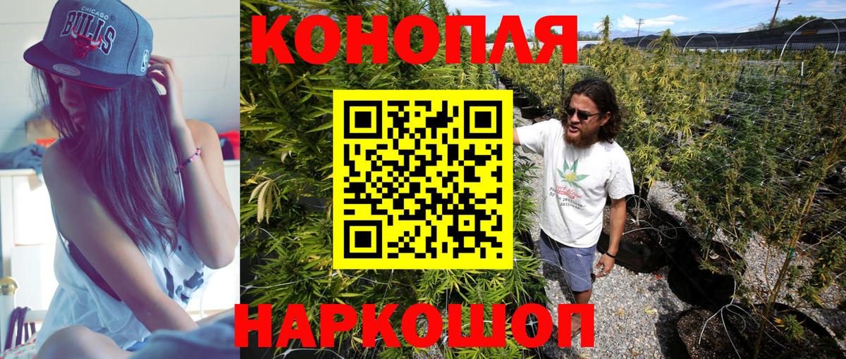 Бошки марихуана планчик  Вход с VPN  Бошки Шишки AK-47  Канабис Bruce Banner  Абакан 